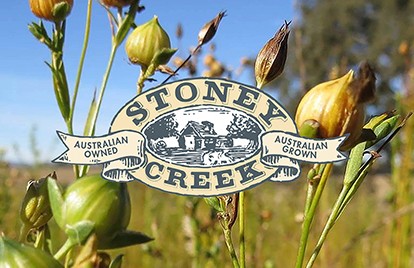 Stoney Creek Long Profile