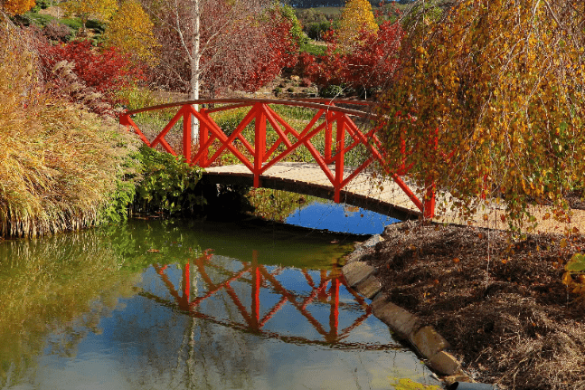 NSW Central Tablelands