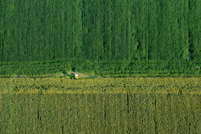 Genetically modified (GM) food update