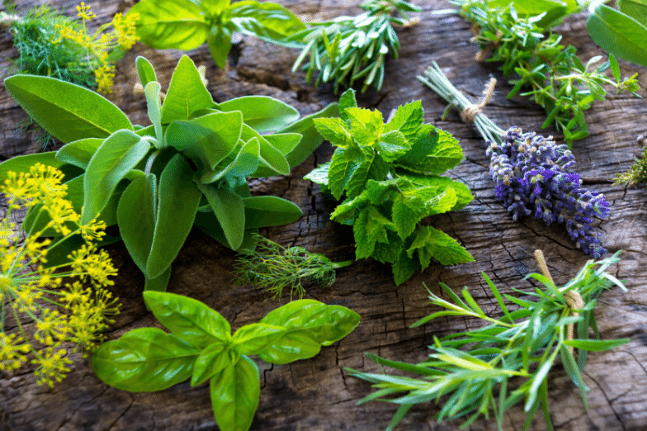 herbs that help you dream
