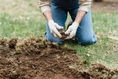 Building A Climate Resilient Garden