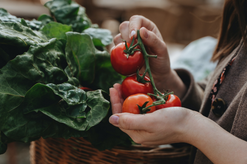 Eat sustainably with the climatarian diet