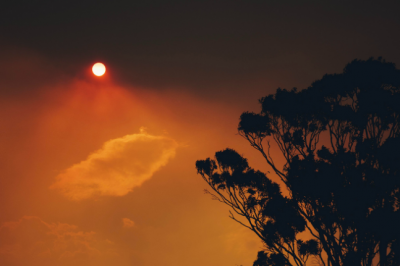 Every Breath You Take Understanding Air Pollution And Lung Health