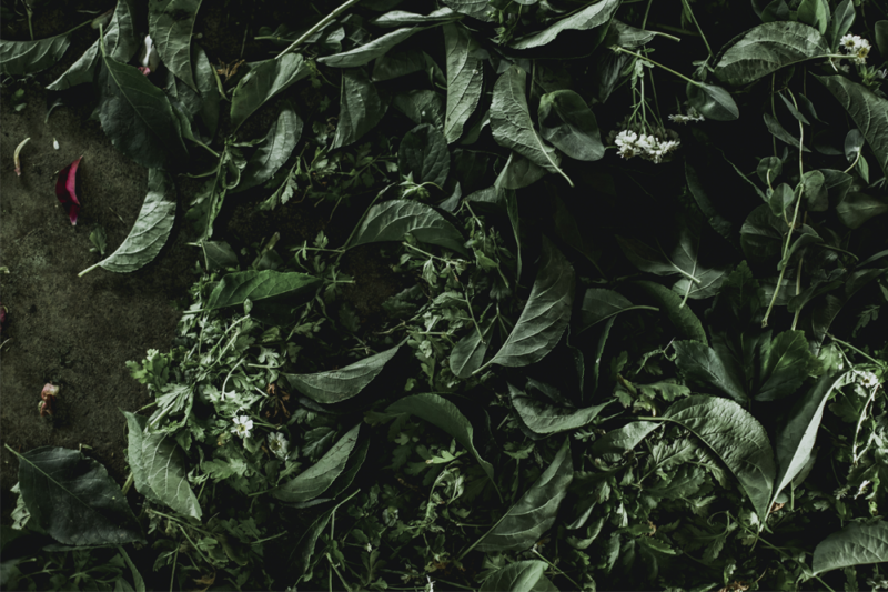 Natural Remedies And What Grandma Knew