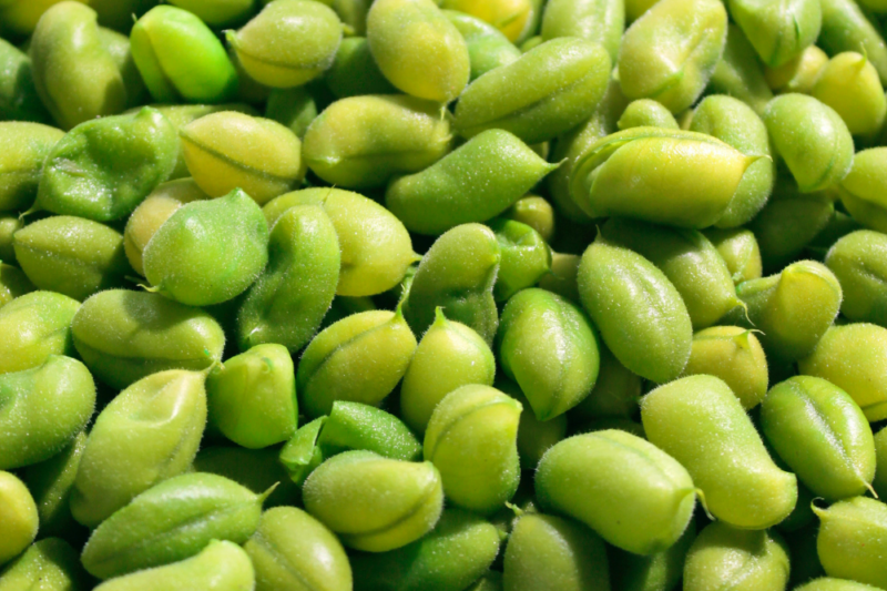 Plant Protein, Climate Change And Ageing
