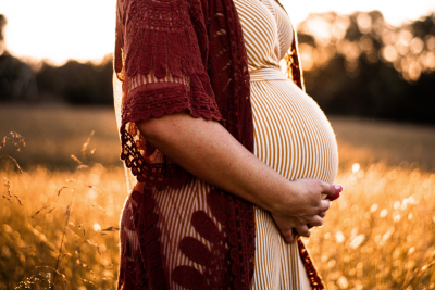 The Journey To Parenthood (2)