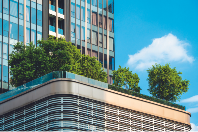 Green roofs