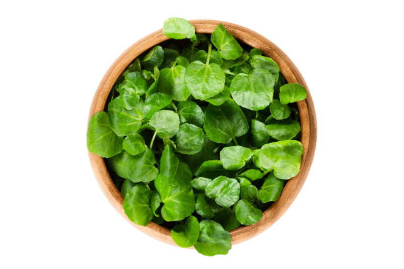 Wellbeing & Eatwell Cover Image 1001x667