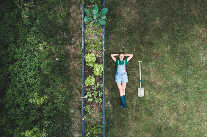 Wellbeing & Eatwell Cover Image 1001x667 2023 08 23t122402.297