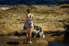 Wellbeing & Eatwell Cover Image 1001x667 2024 03 15t154607.189