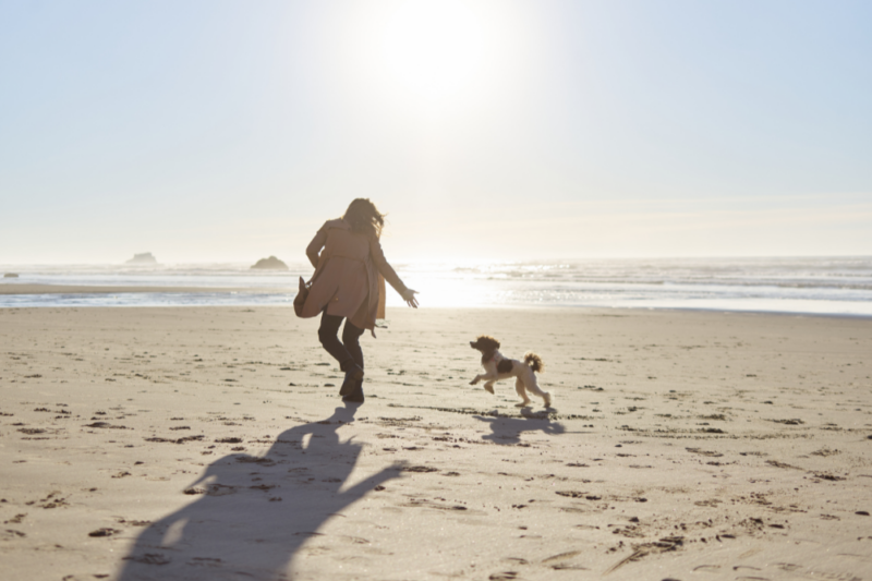 Wellbeing & Eatwell Cover Image 1001x667 2024 04 26t151602.837