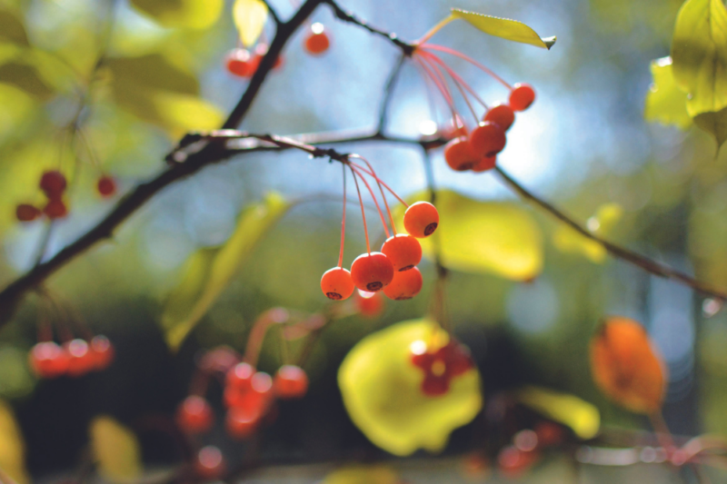 Wellbeing & Eatwell Cover Image 1001x667 2024 07 08t152907.585
