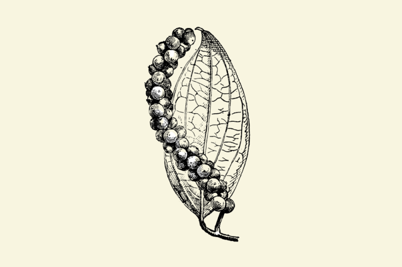Wellbeing & Eatwell Cover Image 1001x667 2024 07 24t143507.849