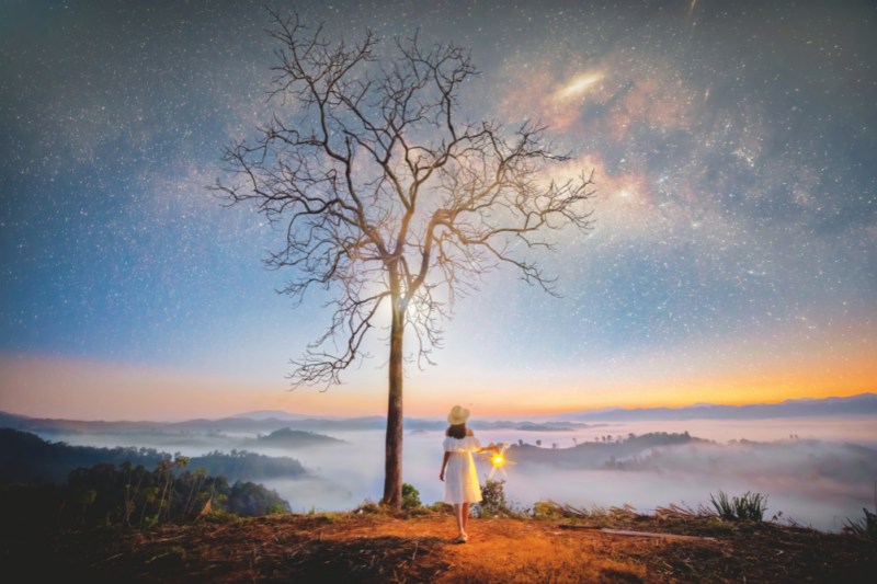 Wellbeing & Eatwell Cover Image 1001x667 2024 12 18t134445.246