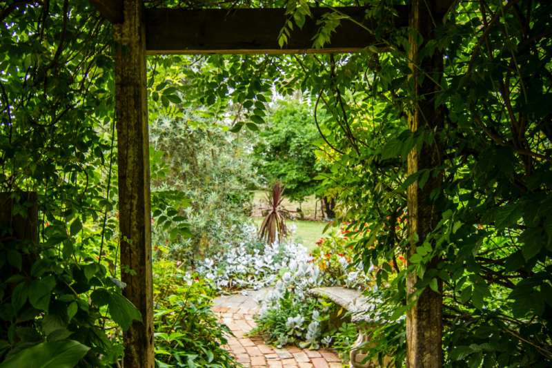 garden dining
