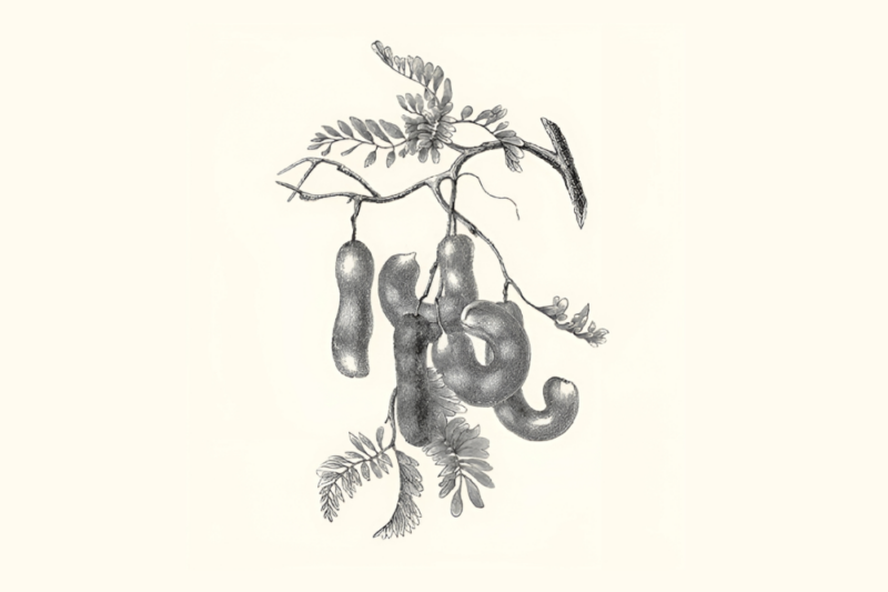 Wellbeing & Eatwell Cover Image 1001x667 2025 02 26t120202.570