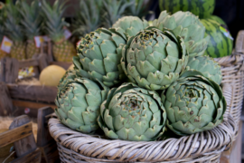 prebiotics & probiotics