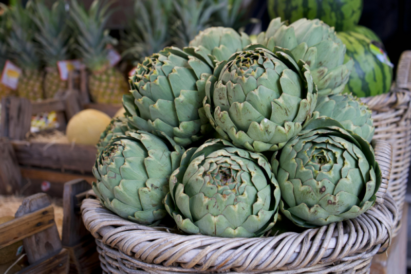 prebiotics & probiotics