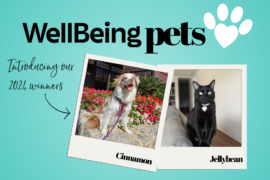 Wellbeing & Eatwell Cover Image 1001x667 (37)