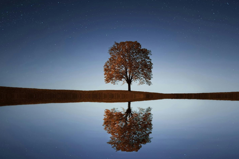 reflexive