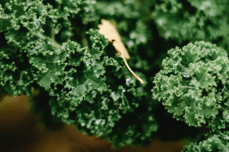fresh greens