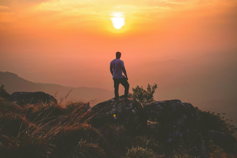Wellbeing & Eatwell Cover Image 1001x667 (9)