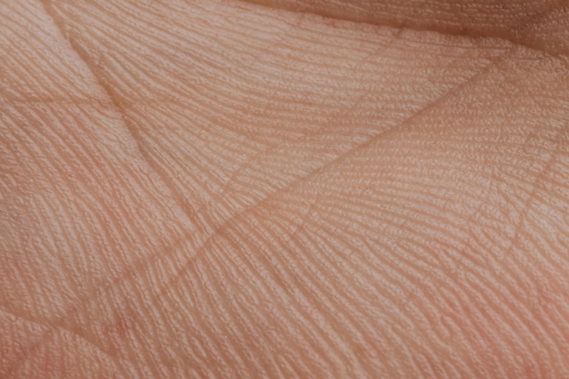 palmistry