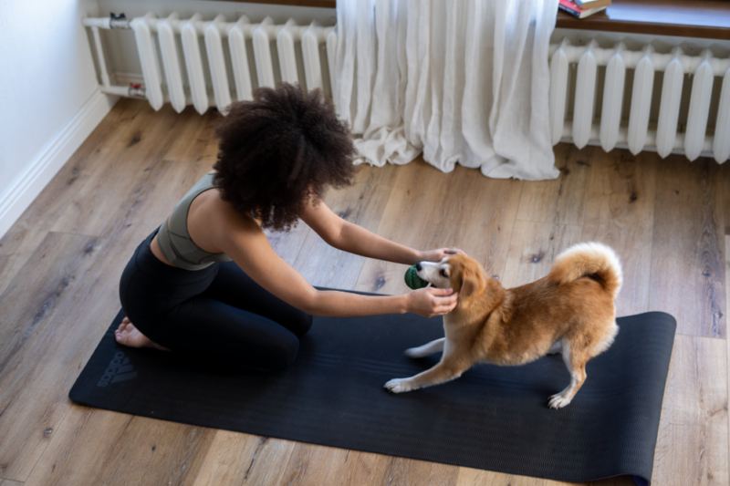 Wellbeing & Eatwell Cover Image 1001x667 (99)