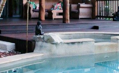 Wellness Mag Header Photo
