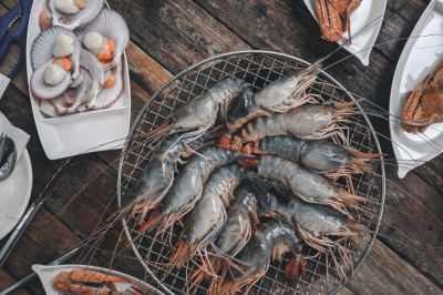 What Is Sustainable Seafood – Wellbeing Magazine